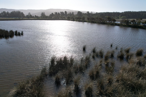 Imagen 25 de 30 de Oferta Terreno En Laguna Torca Lago Vichuquén