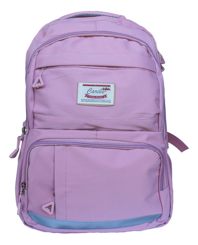 Mochila Bolso Escolar Niñas 44cm Compartimiento Notebook Color Rosa