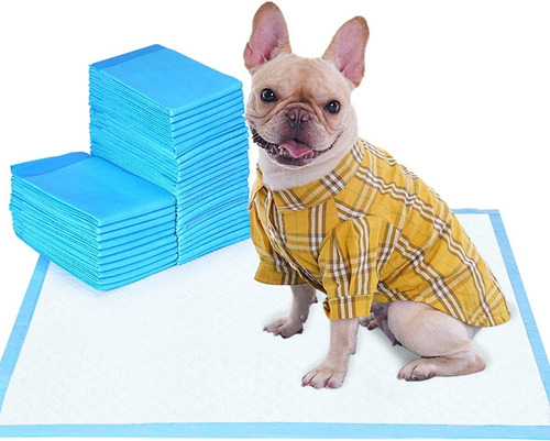 Imagen 1 de 10 de Pañal Para Perros De Piso Entrenamiento Absorbente 50 Unid