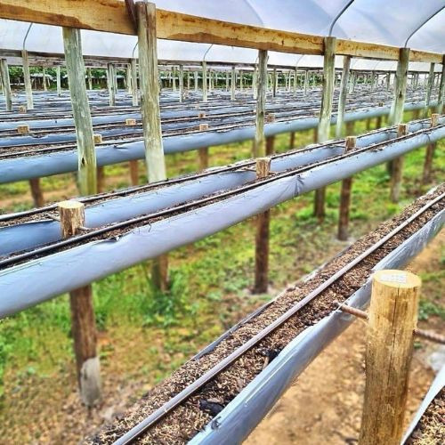 3 Calha Cultivo Morango Suspenso Com 102x0,45 Mts 200 Micras