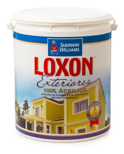 Loxon Exterior Mate Blanco Moderno