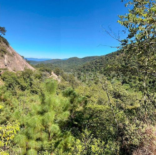 Terreno En Venta En San Sebastian Del Oeste