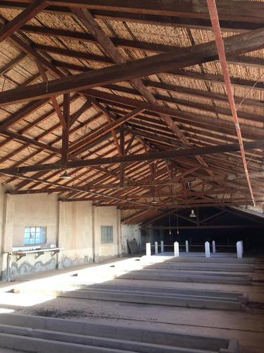 Bodega En Maipú Mendoza