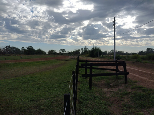 Campo En Venta En Pilar