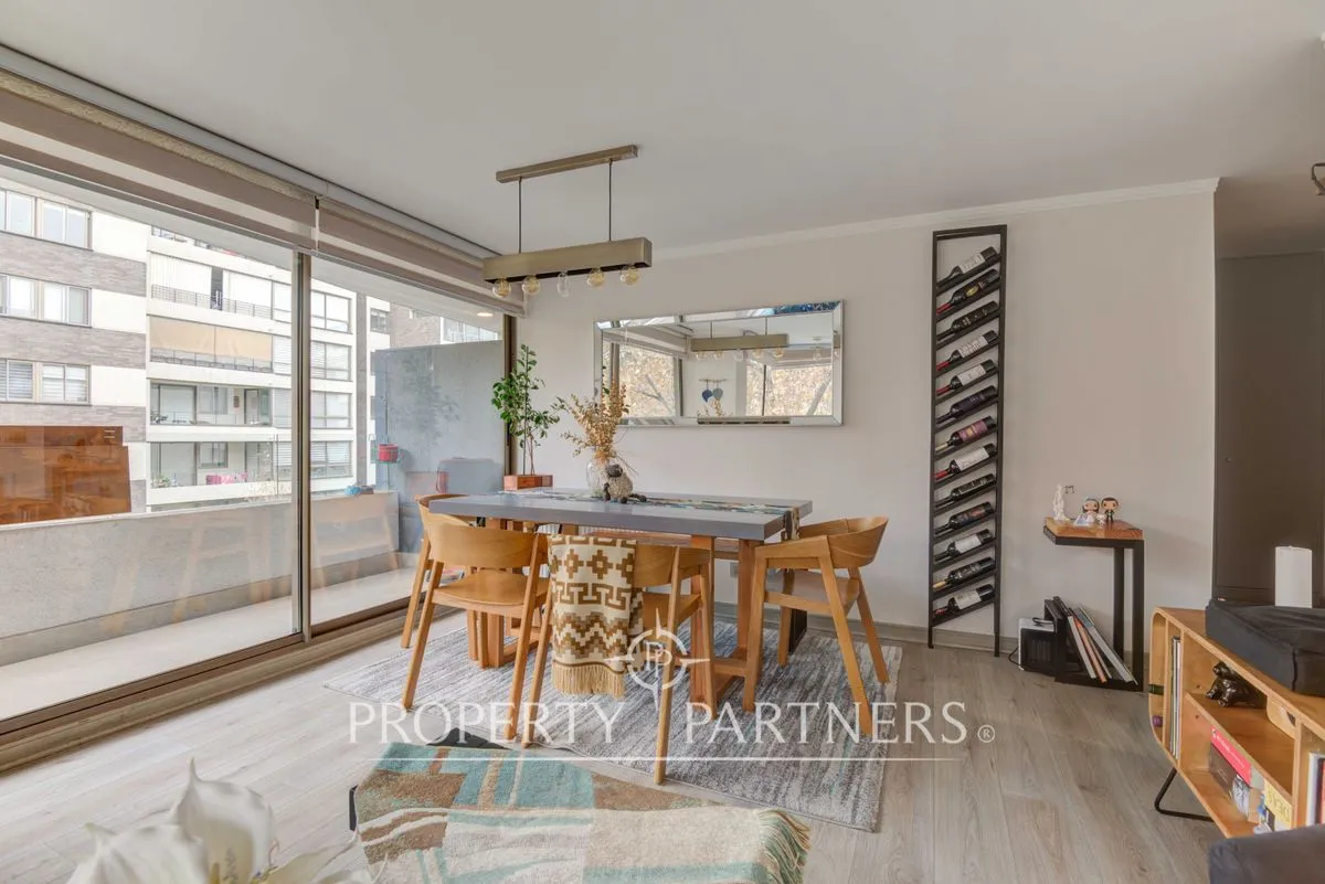Imagen 3 de 28 de Departamento En Venta En Providencia Sector Ricard...