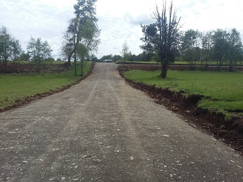 Parcela 5000 M2 Lago Ranco