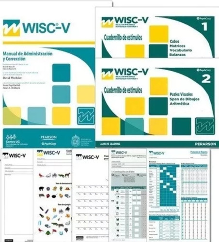 Wisc-v Pdf Automatizado Con Informe