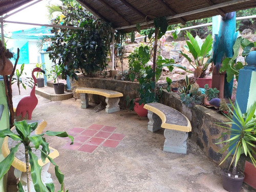 Imagen 20 de 22 de Linda Casa En La Sierra De Falcon. 0414-5725250 Cod 22-6780