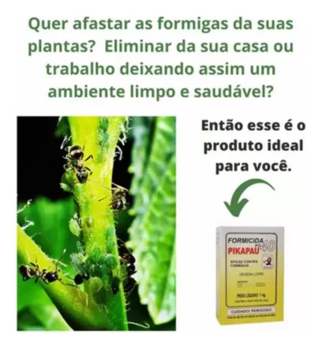 Formicida Em Pó Pikapau Citromax 1kg 40