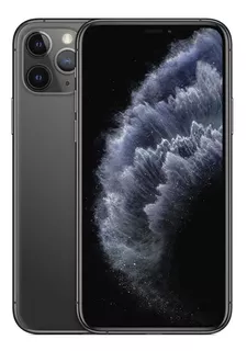 iPhone 11 Pro Max 64 Gb Gris Espacial