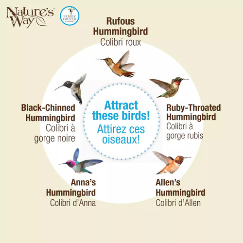 Nature's Way Bird Products Mjf1 Mason Jar - Comedero Para