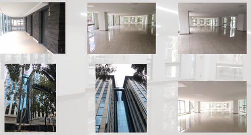 Imagen 16 de 24 de Oficina - Anzures / Polanco - Corporativo Heldan 541.52m2 ,