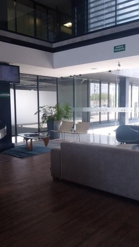 Imagen 9 de 20 de Oficinas Edificio Black