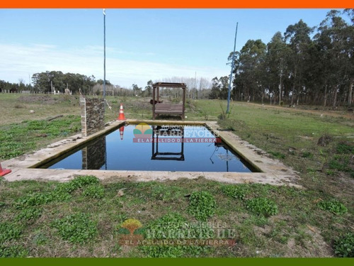 Imagen 13 de 22 de Chacra En Venta 3 Has Con Casa En El Colorado