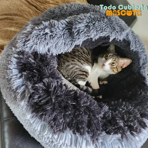 Baño iglu para gatos new arrivals