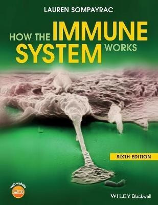 Imagen 1 de 2 de Libro How The Immune System Works
