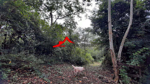 Imagem 20 de 30 de Chácara, Borba, Pindamonhangaba - R$ 2.9 Mi, Cod: 60864 - V60864