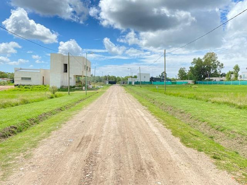 Imagen 10 de 11 de Terreno - La Plata