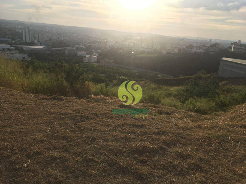 Imagem 6 de 15 de Terreno Para Alugar, 1200 M² Por R$ 2.000,00/mês - Estoril - Belo Horizonte/mg - Te0041