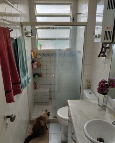 Imagem 14 de 15 de Apartamento Com 2 Quartos Armários Vaga À Venda, 54 M² - Engenho Novo - Aea2147