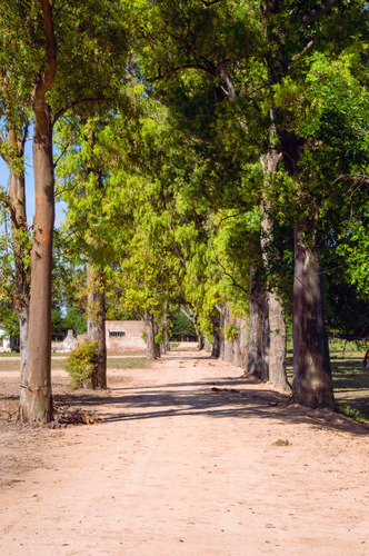 Lotes En Olivera, Lujan - Altos De Olivera