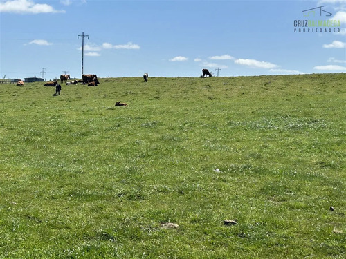 Sitio En Venta En Puerto Varas