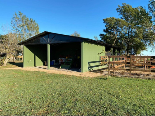 Imagen 20 de 26 de Quinte En Venta - 5 Dormitorios 3 Baños - 37ha Totales - Campo Funke