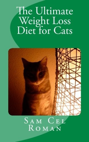 The Ultimate Weight Loss Diet For Cats