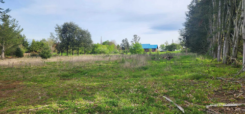 Venta Parcela Robles De Pilauco Osorno (127903)