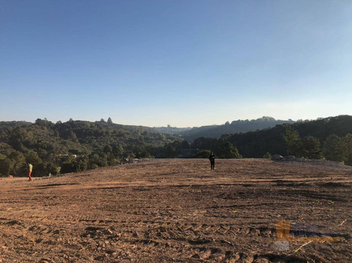 Imagem 9 de 22 de Terreno À Venda, 300 M² Por R$ 99.000,00 - São Giácomo - Caxias Do Sul/rs - Te0210