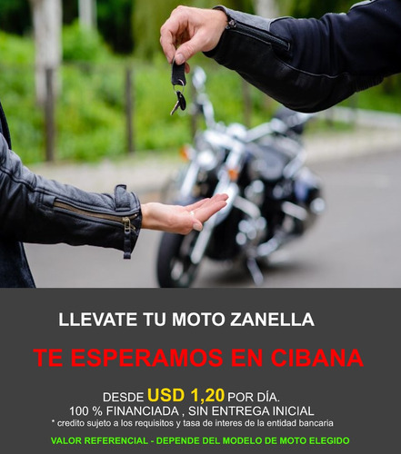 Imagen 2 de 12 de Moto Zanella Zb 110 Rayo Disco