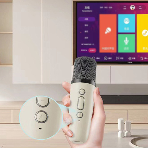 Karaoke Hine Con 2 Micrófonos Inalámbricos, Altavoz Portátil