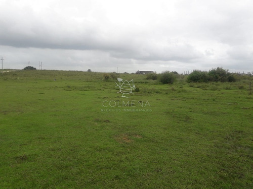 Imagen 4 de 16 de Campo De 5 Has Con 5891 M2 - San Carlos