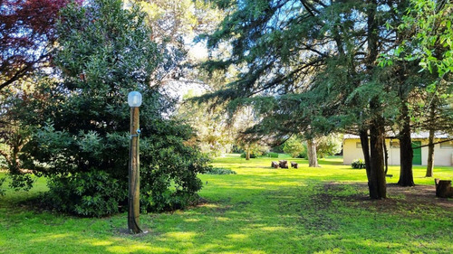 Quinta En Venta En Todo El Año