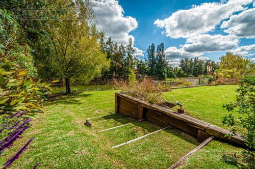 Imagen 8 de 30 de Casa En Venta En Los Castores