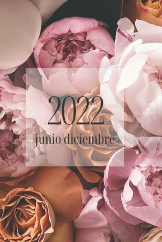 2022 Junio - Diciembre: Agenda Con Hojas Diarias | 6 Meses |