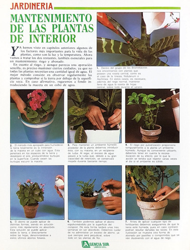 Taller Del Hogar, Manualidades, Punto Y Bordado