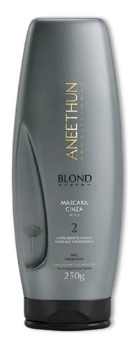 Máscara Cinza Blond System Aneethun Profissional 250ml