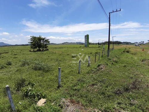 Imagem 16 de 25 de Terreno A Venda Na Br 101, Cidade De Penha (sc) - Exa Imóveis. - 0915