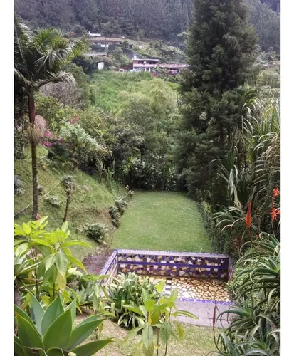 Venta Finca En Caldas