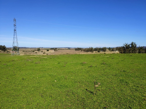 Campo De 10 Hec En Los Ceibos