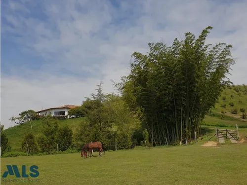 Grandiosa Finca Con Cultivos De Aguacate Hass(mls#247937)
