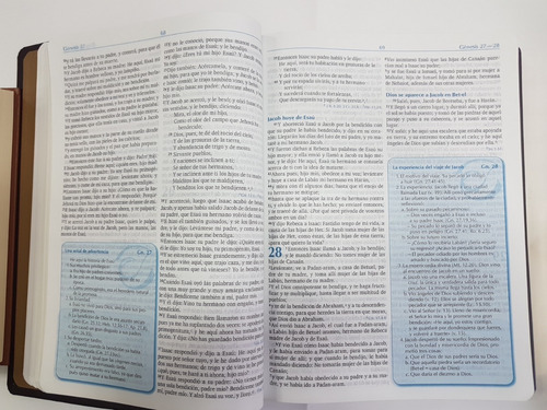 Biblia Para La Predicación Reina Valera 1960 Con Cierre