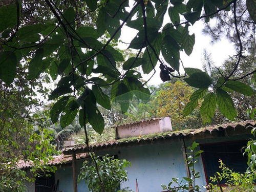 Imagem 12 de 30 de Terreno À Venda, 30000 M² Por R$ 3.698.000,00 - Cipó Do Meio - São Paulo/sp - Te0059