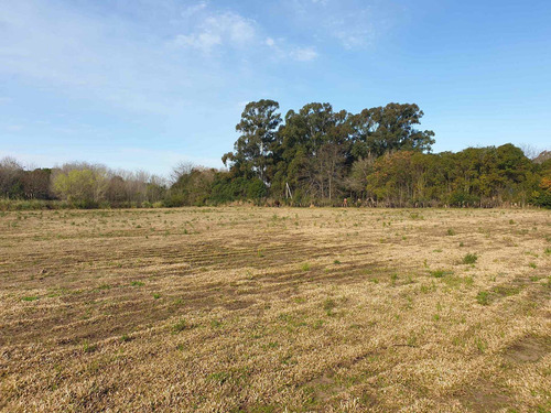 Imagen 2 de 5 de Fracción 35.000 M2 En Zelaya Límite San Sebastián