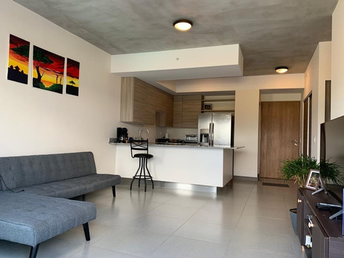 Imagen 1 de 11 de Alquiler Apartamento Heredia - Santa Verde