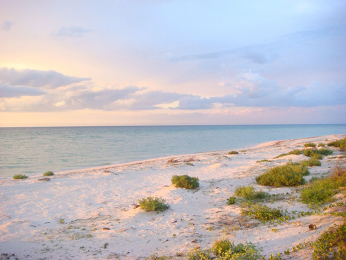 Venta De Lotes Adventures En La Playa De Yucatán, Telchac Puerto