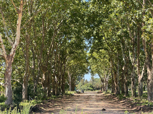 Venta - Lote Interno - Estancia Carabassa | Vco Propiedades