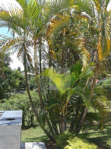 Imagem 4 de 28 de Chácara À Venda, 5000 M² Por R$ 1.300.000,00 - Vale Verde - Valinhos/sp - Ch0023