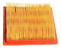 Comprar Elemento Filtrante Filtro De Aire Dm150 Roja Dm200 F08010165